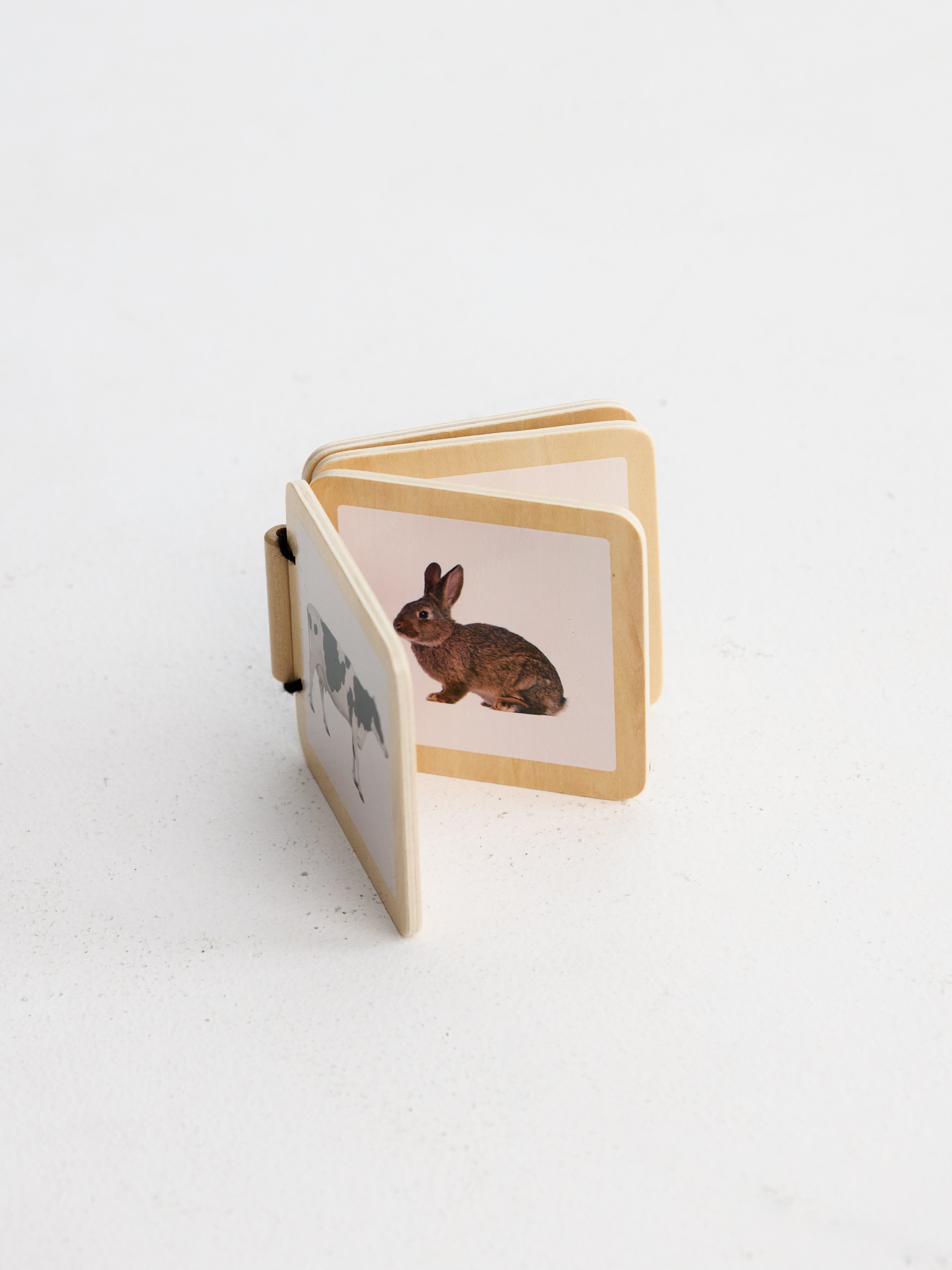 0-6 месеца: Първото докосване 